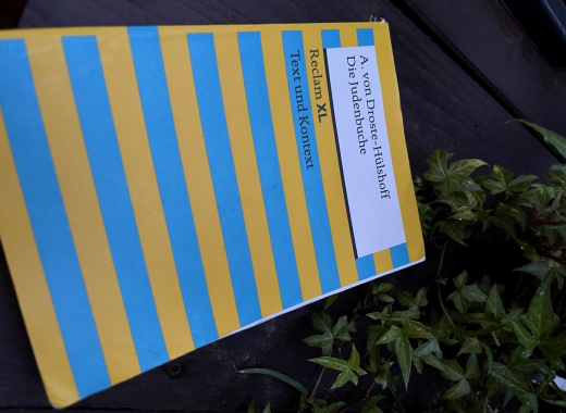 Die Judenbuche und der Polizistenmord  