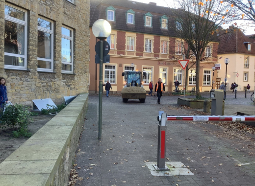 Neues vom Schrankenbeet