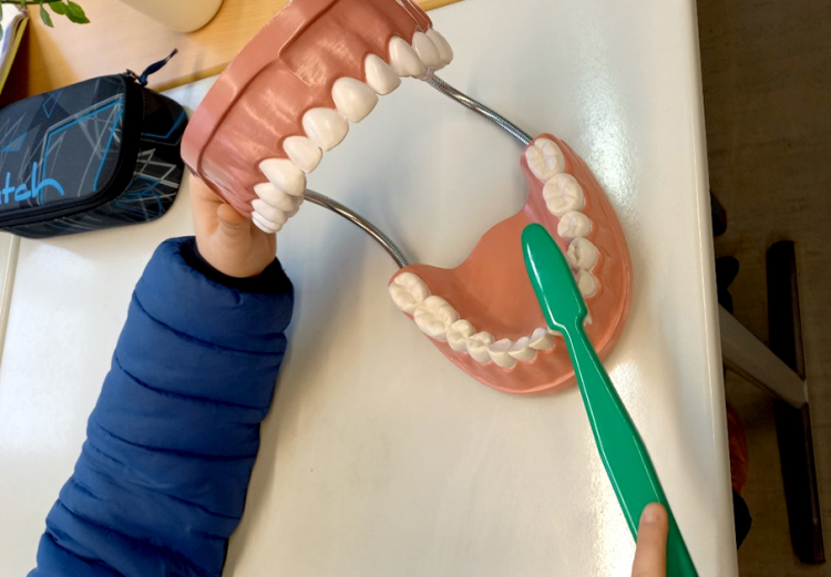 Besuch von einer Zahnärztin