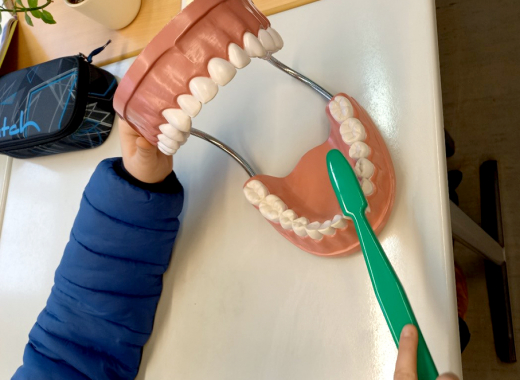 Besuch von einer Zahnärztin