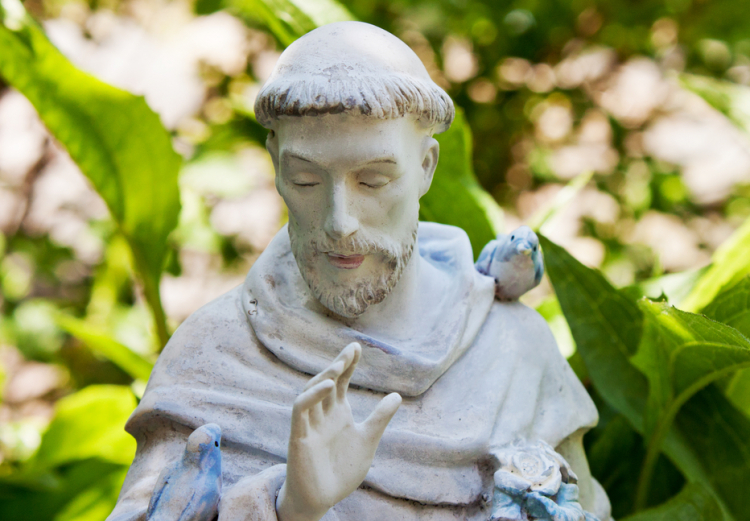 Warum wir nach Assisi fahren