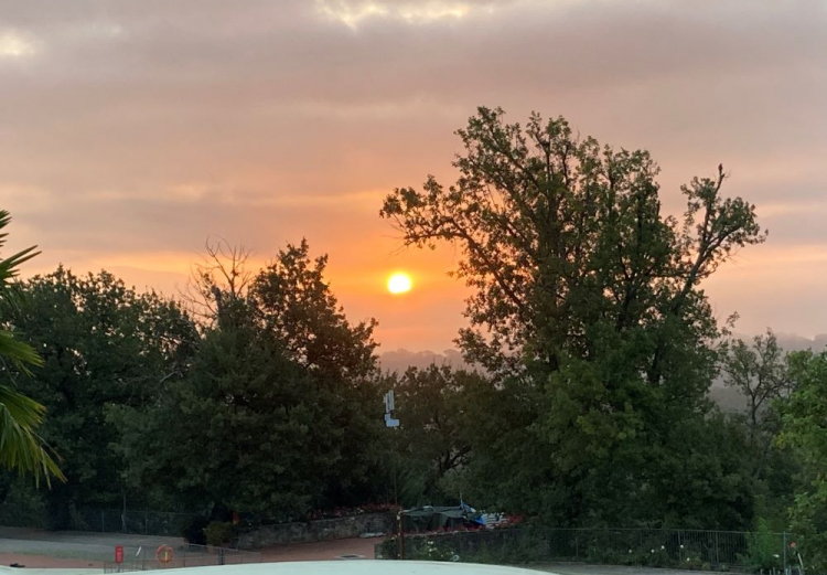 Assisi daily IV