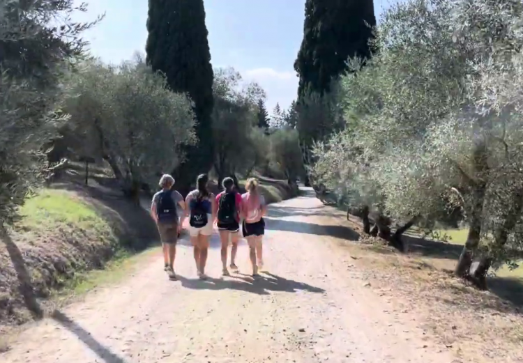 Wanderung nach Siena