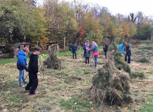 Neues aus der Botanik AG