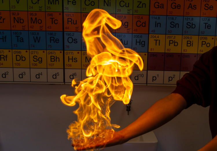 Tag der offenen Tür 2024