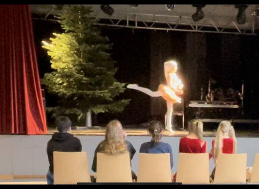 Minus Aura in stiller Nacht und Talahons am Stall