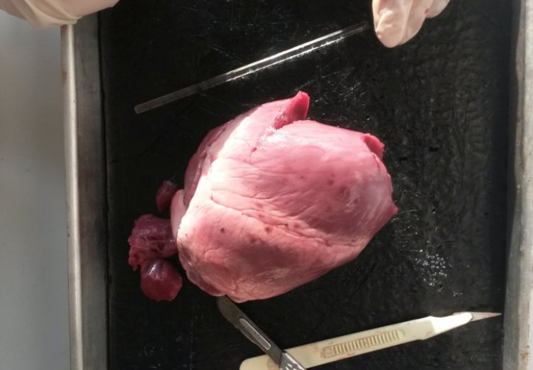 Gemütlich: Lesenacht in der Ursulaschule.