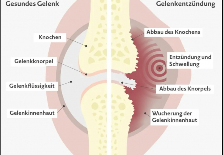 Besuch einer Ärztin in der 6a