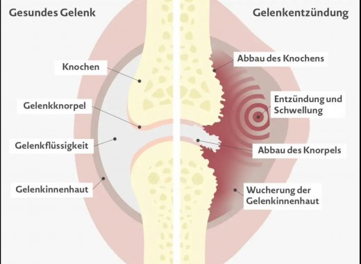 Besuch einer Ärztin in der 6a
