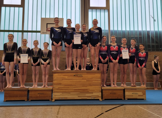 Sieg bei Jugend trainiert für Olympia