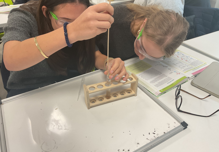 DNA-Extraktion aus Banane und Tomate – ein Experiment im Biokurs