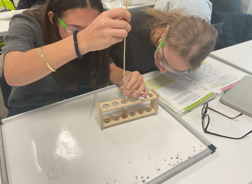 DNA-Extraktion aus Banane und Tomate – ein Experiment im Biokurs